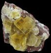 Lustrous, Yellow Cubic Fluorite Crystals - Morocco #44887-1